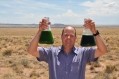 2011 in pictures: Microalgae. To boldly go…