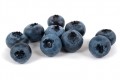 Born to be wild (blueberries)