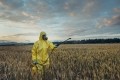Alkemist Labs: Samples continue to test positive for pesticides above limits