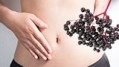 Gut reaction: webinar to explore prebiotic benefits of elderberries 