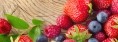 Wide-spectrum berry polyphenols enhance the role of Vitamin-C in ENI’s Polyphenol-C