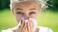 Study explores whether Gencor’s PEA relieves allergy symptoms