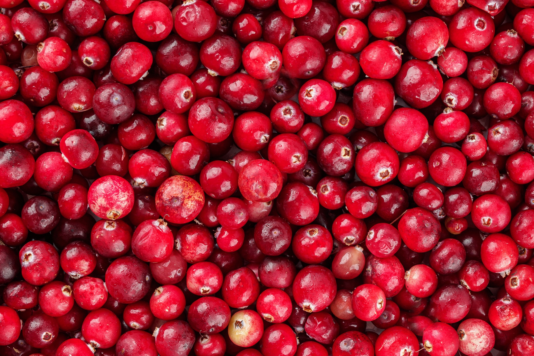 Benefits of Using Cranberry Tablets for UTIs