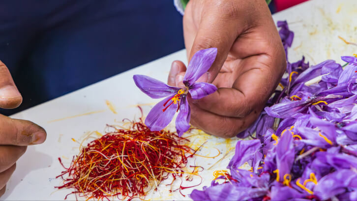 Ayana Bio partners with South Korean biotech firm for plant cell-derived saffron